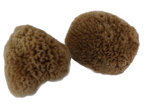 3PACK Kosmetická mořská houba minerální Caribbean Sun (CS017)