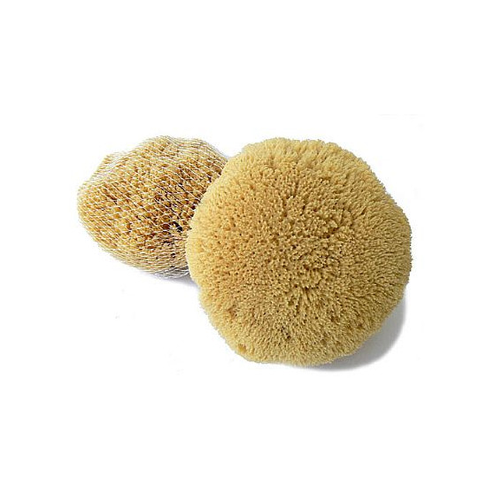 Mycí houba pacifická Caribbean Sun 12-13 cm s provázkem (SLY354P)