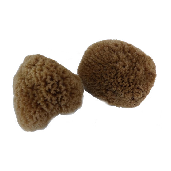 Kosmetická mořská houba minerální Caribbean Sun 6-7 cm (SBS460)